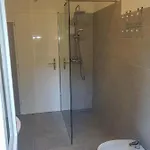 Lori * פורץ